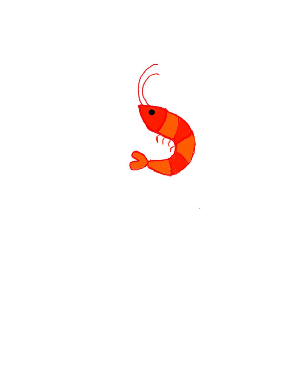 random-doodle